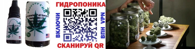 Canna-Cookies конопля  продажа наркотиков  Шебекино 