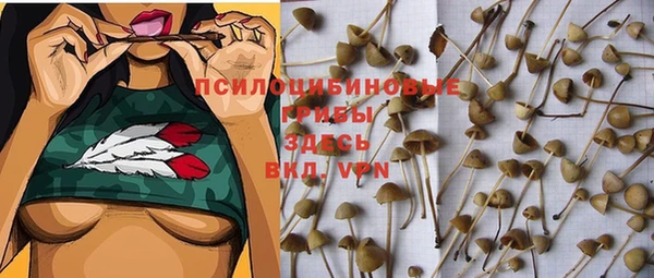 прущая мука Лабытнанги