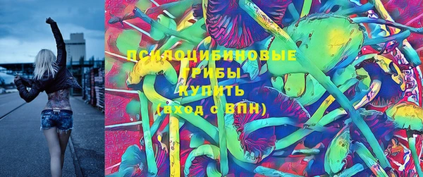 Альфа ПВП Струнино