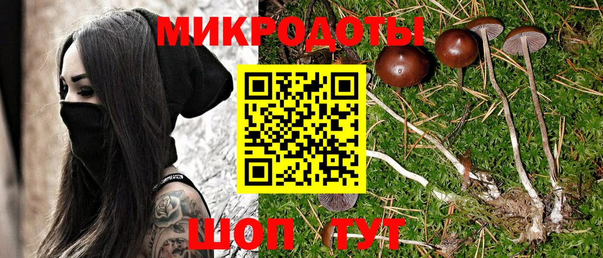 Псилоцибиновые грибы ЛСД  Шебекино  Галлюциногенные грибы прущие грибы 