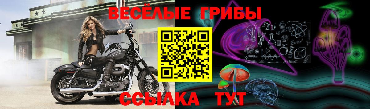 Псилоцибиновые грибы прущие грибы Шебекино